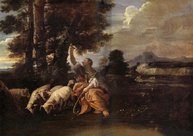 MOLA, Pier Francesco Herminie gardant ses troupeaux grave sur un arbre le nom de Tancrede Spain oil painting art